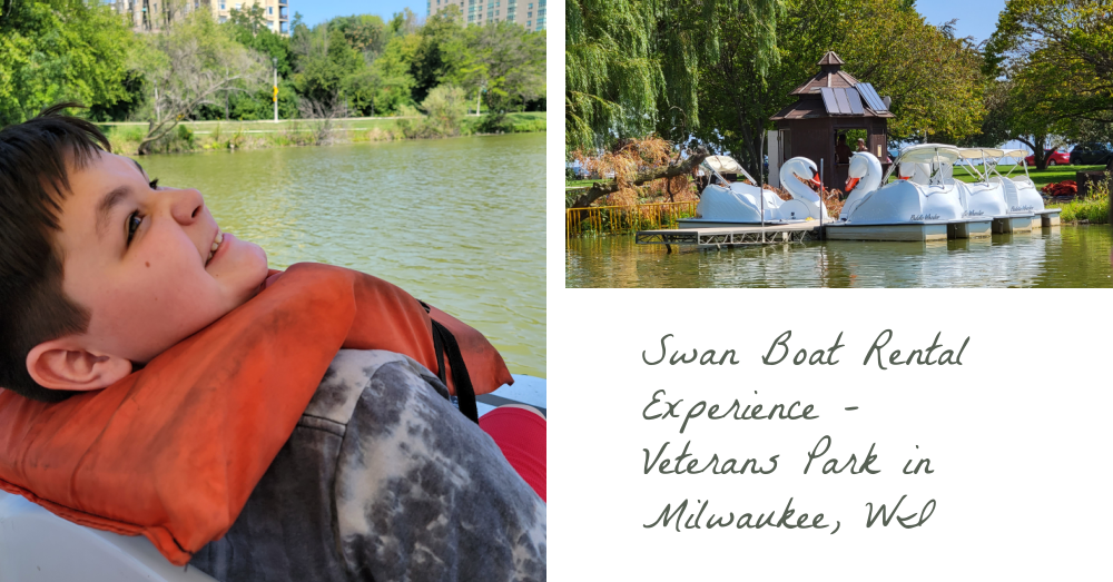 Swan Boat Rental Experience - Veterans Park in Milwaukee, WI