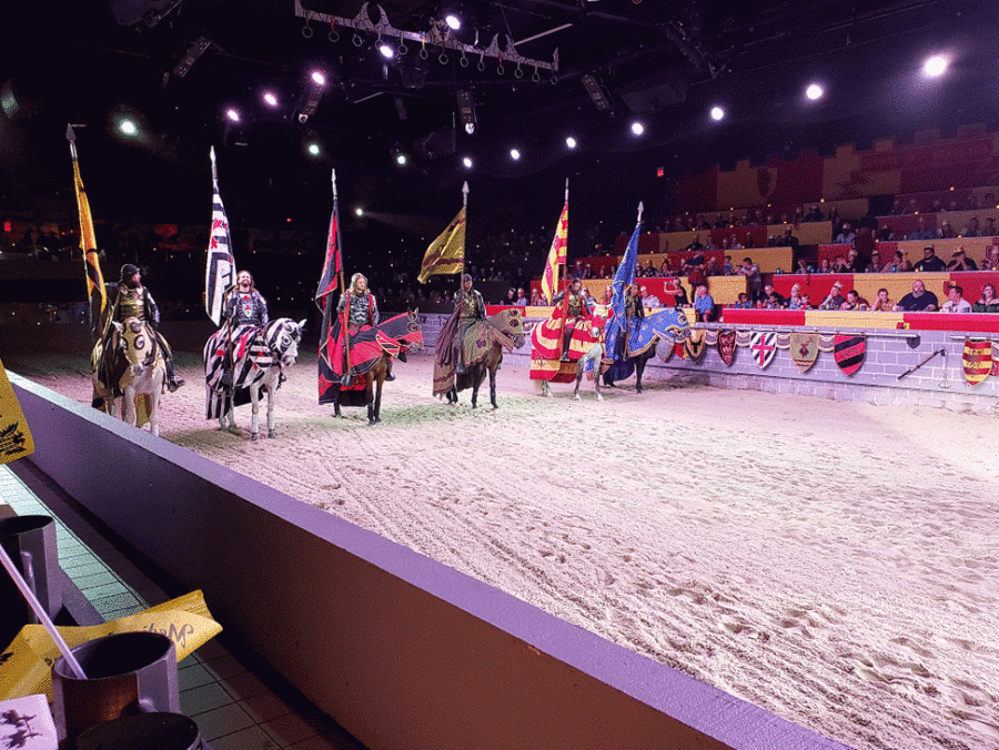 Medieval Times Dinner Theater Show & VIP Experience