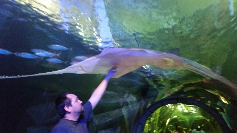 Ripley’s Aquarium of the Smokies