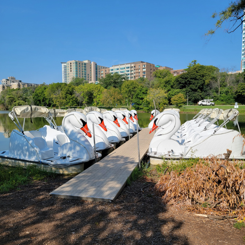 Swan Boat Rental Experience - Veterans Park in Milwaukee, WI